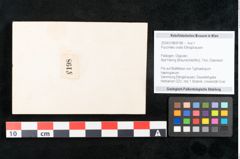 Foto (Objekt + Etikett) von Puccinites ovalis Ettingshausen (NHMW-GEO-2024-0188-8198)